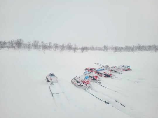 Arctic Circle Expedition 2025 (Deposit €200)