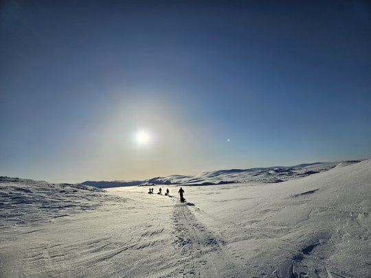 Arctic Circle Expedition 2025 (Deposit €200)