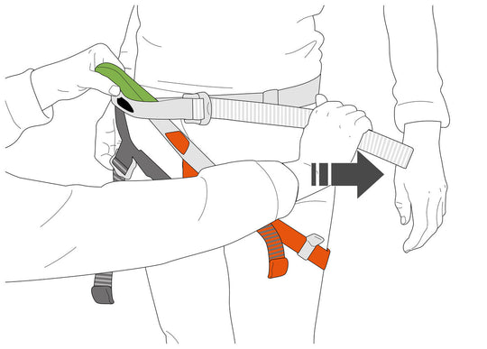 Petzl Pandion Harness (no gear loops)