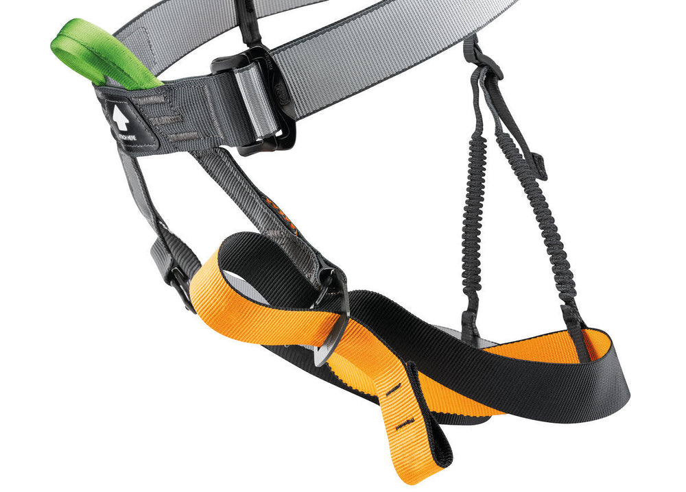 Petzl Pandion Harness