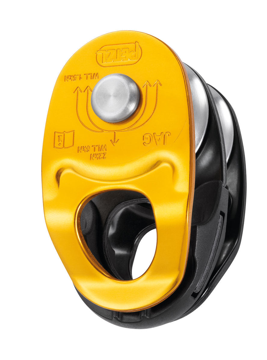 Jag Twin Pulley