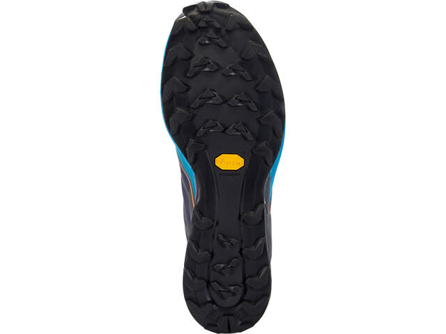 Alpine Men's Trail Shoe