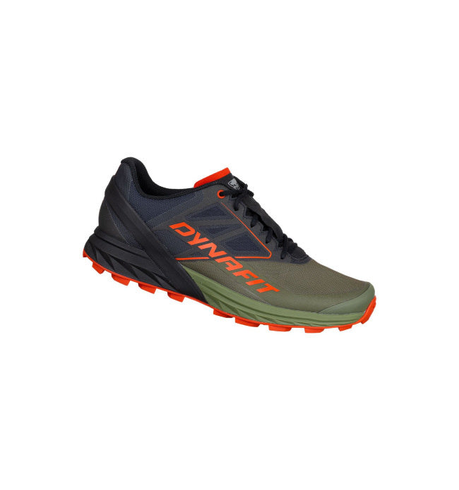 Alpine Men's Trail Shoe