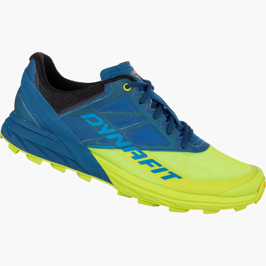 Alpine Men's Trail Shoe