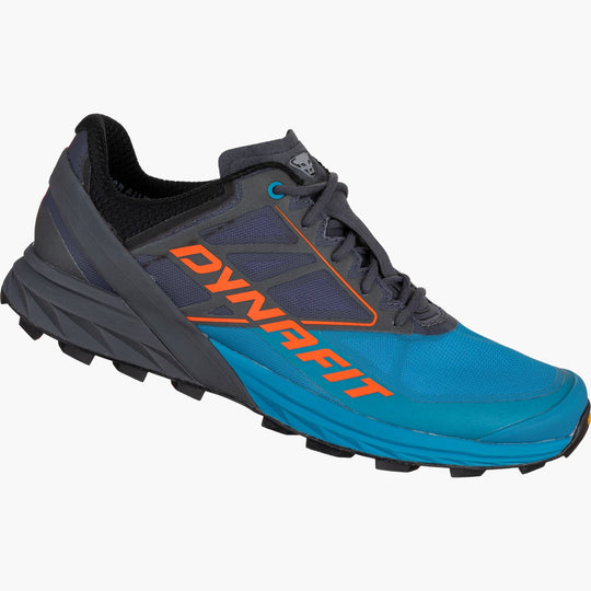 Alpine Men's Trail Shoe