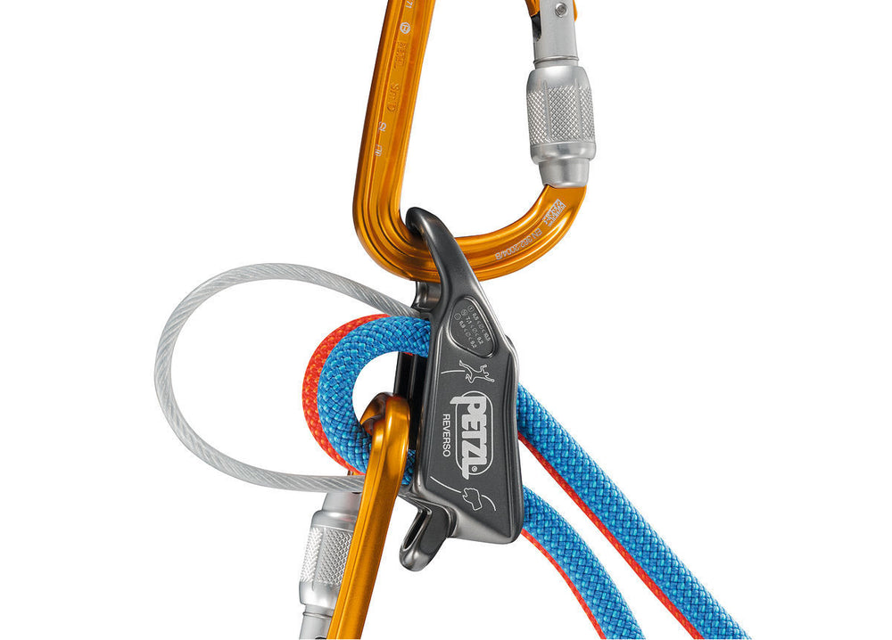 Petzl Reverso 4 Belay Device