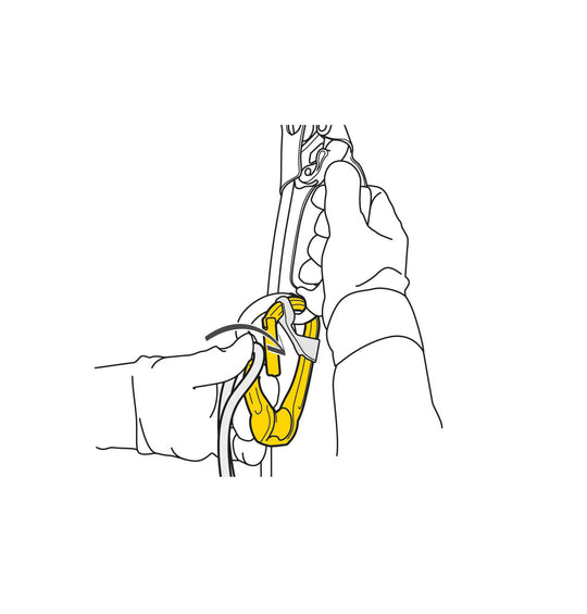 Petzl Rollclip Carabiner