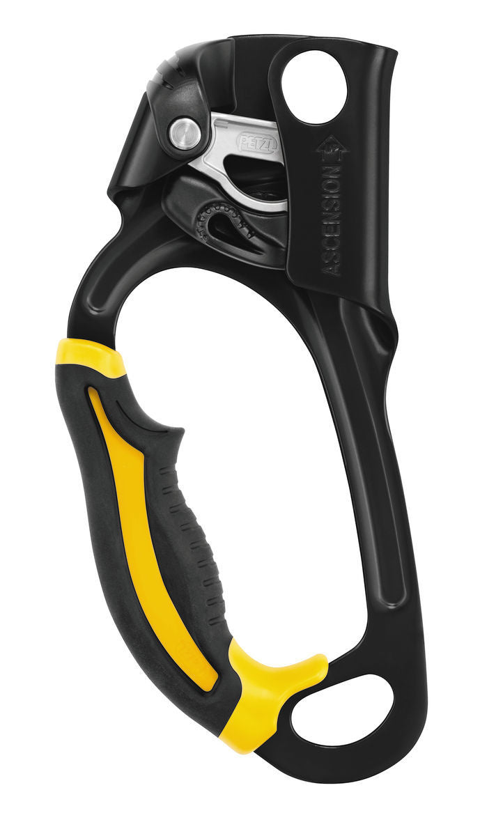 Petzl Ascension Ascender